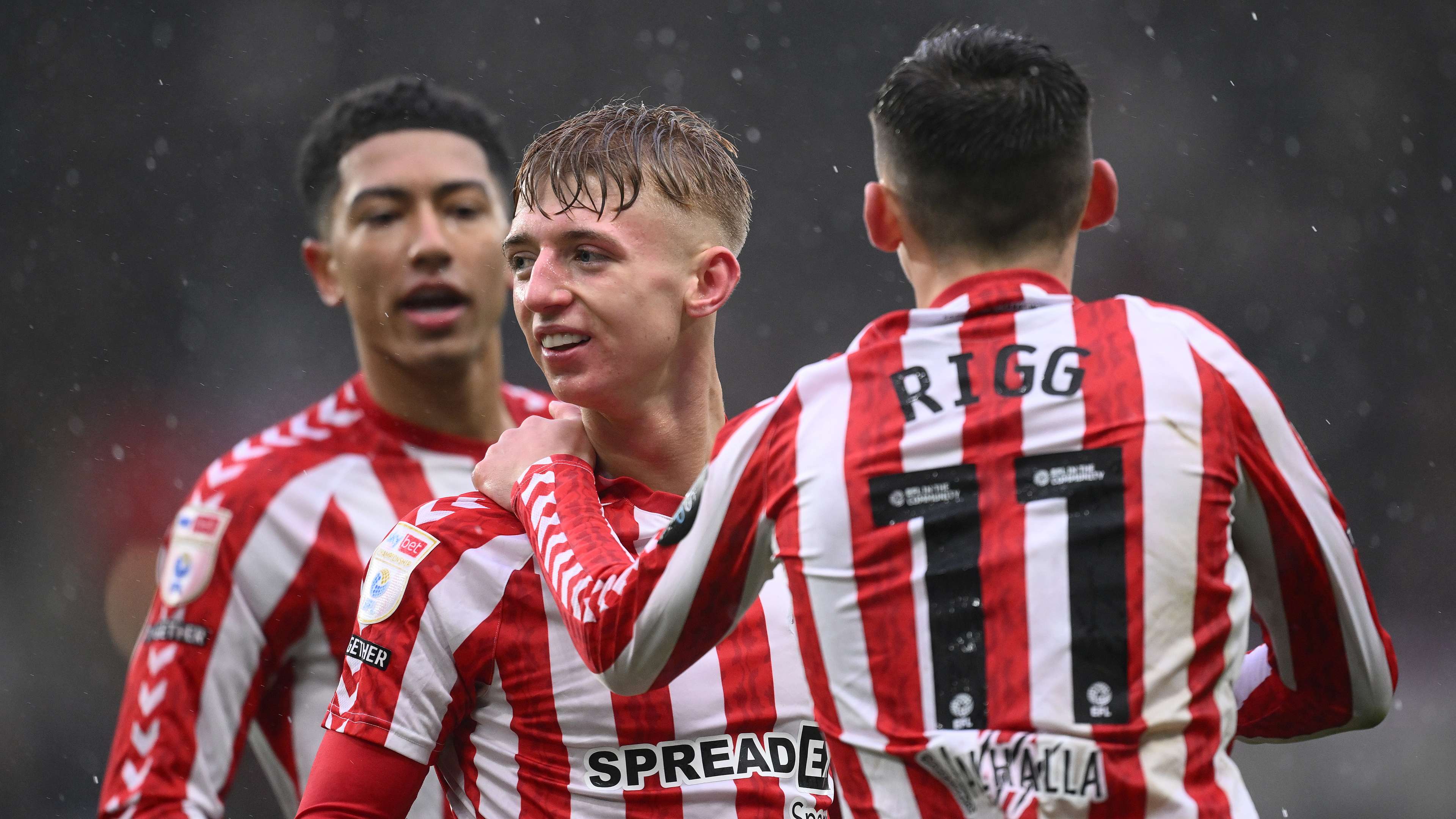 词无疑是 词无疑是